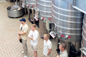 Empordà: besøg og vinsmagning på Clos d'Agon på Costa Brava