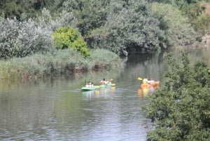 Empuriabrava: excursión en kayak