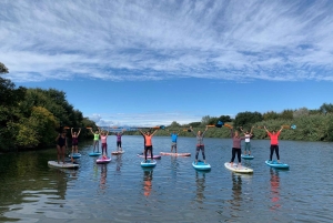 Эмпуриабрава: прокат паддлсерфов (SUP)