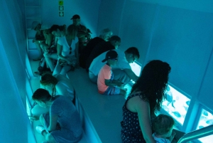 From Roses: Medes Islands Boat Tour with El Estartit Visit
