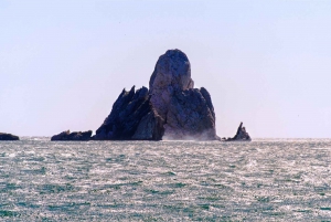 From Roses: Medes Islands Boat Tour with El Estartit Visit