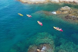 EXCURSIÓN GUIADA EN KAYAK - INICIACIÓN 1h 15m