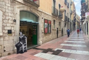 Figueres & Dali Museum Walking Tour with Tickets