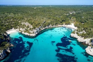 Fra Mallorca: Dagstur fra Alcudia til Menorca