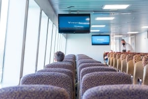 Fra Mallorca: Dagstur fra Alcudia til Menorca