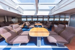 Fra Mallorca: Dagstur fra Alcudia til Menorca