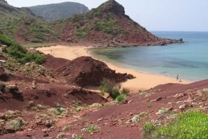 Fra Mallorca: Dagstur fra Alcudia til Menorca