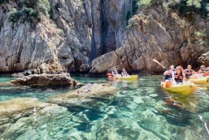 Barcelone : Costa Brava Kayak, plongée en apnée et saut de falaise avec déjeuner