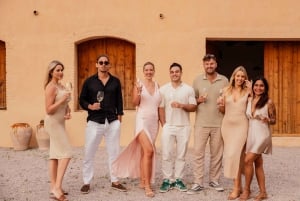 Desde Barcelona: Visita guiada PRIVADA de Cadaqués y Cata de Vinos