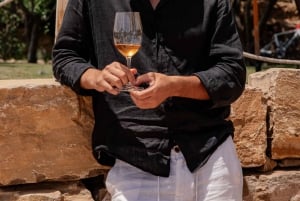 Desde Barcelona: Visita guiada PRIVADA de Cadaqués y Cata de Vinos