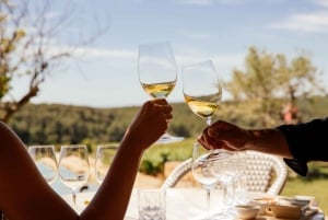 Desde Barcelona: Visita guiada PRIVADA de Cadaqués y Cata de Vinos