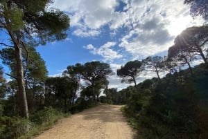 Från Barcelona: Vandringstur på Costa Brava till Camino de Ronda