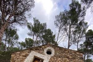 Från Barcelona: Vandringstur på Costa Brava till Camino de Ronda