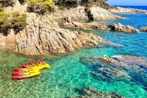 Vanuit Barcelona: Costa Brava kajak- en snorkeltocht met picknick