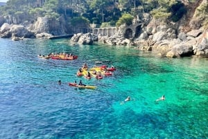 Vanuit Barcelona: Costa Brava kajak- en snorkeltocht met picknick