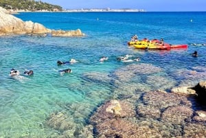 Vanuit Barcelona: Costa Brava kajak- en snorkeltocht met picknick