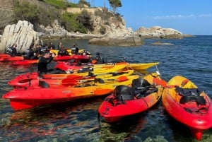 Vanuit Barcelona: Costa Brava kajak- en snorkeltocht met picknick