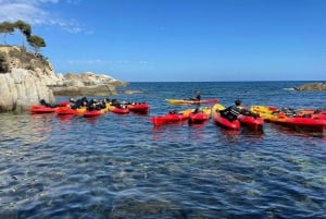 Vanuit Barcelona: Costa Brava kajak- en snorkeltocht met picknick