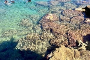 Au départ de Barcelone : excursion en kayak et plongée avec tuba sur la Costa Brava avec pique-nique