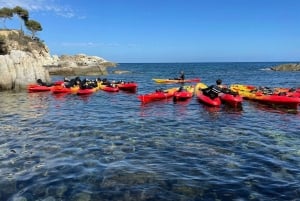Au départ de Barcelone : excursion en kayak et plongée avec tuba sur la Costa Brava avec pique-nique