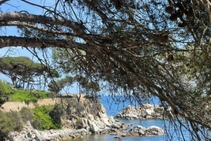 Au départ de Barcelone : excursion en kayak et plongée avec tuba sur la Costa Brava avec pique-nique