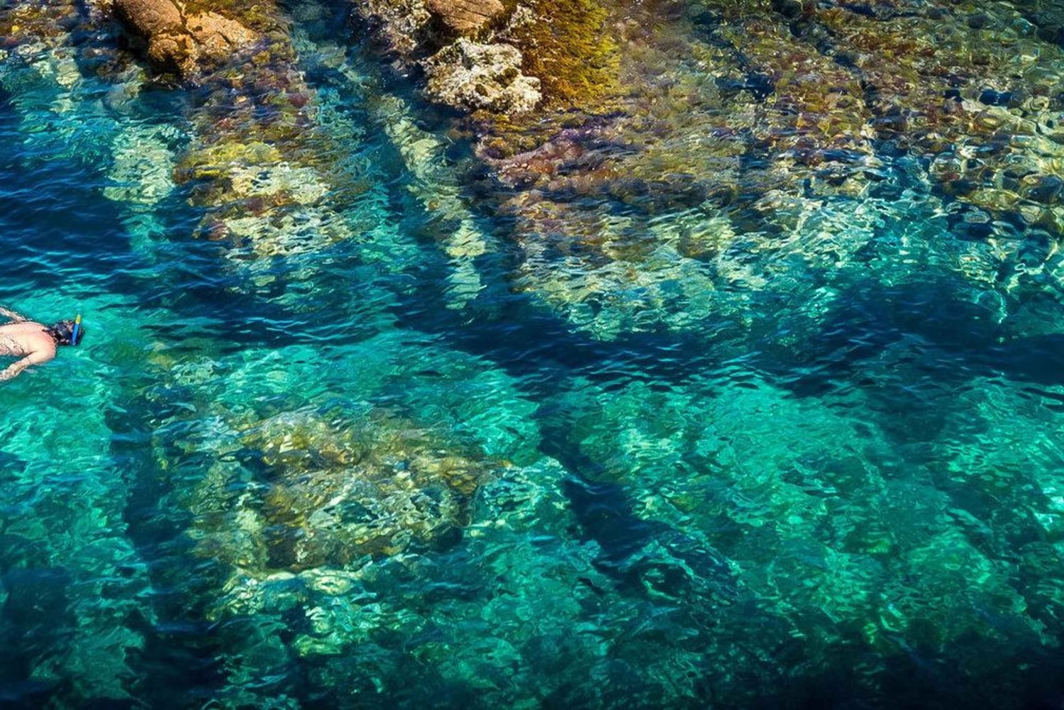 Da Barcellona: Tour privato della Costa Brava con pranzo