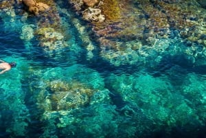 From Barcelona: Costa Brava Private Tour with Lunch