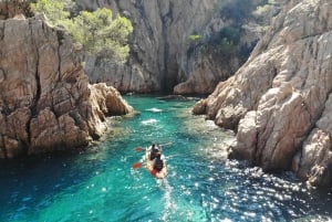 From Barcelona: Costa Brava Private Tour with Lunch