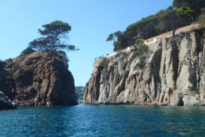 From Barcelona: Costa Brava Private Tour with Lunch