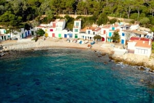 From Barcelona: Costa Brava Private Tour with Lunch