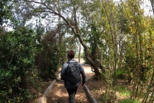 Tour Costa Brava: kustpaden, snorkelen, klifduiken & maaltijd