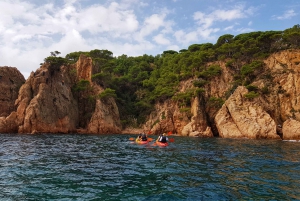 Depuis Barcelone : Randonnée et kayak sur la Costa Brava