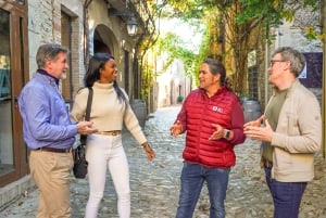 From Barcelona: Girona, Calella & Medieval Village Day Trip