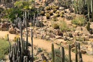 Vanuit Barcelona: Marimurtra Tuin en Blanes Tour