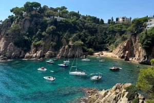 Fra Barcelona: Marimurtra-haven og Blanes-tur med solnedgang