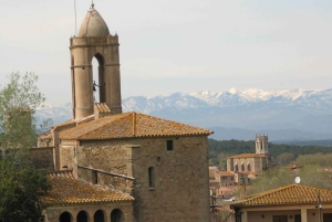 From Barcelona: Private Figueres & Pubol Full-Day Tour