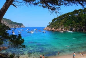 From Barcelona: Private Girona and Costa Brava Guided Tour