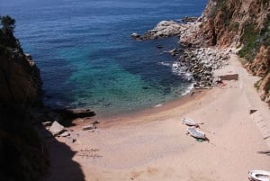 Fra Barcelona: Privat guidet tur til Girona og Costa Brava
