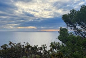 Barcelona: Tossa de Mar kyststi og Costa Brava-båt