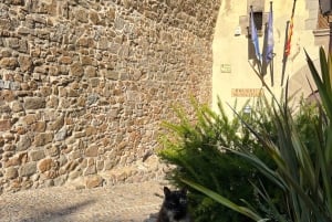 Barcelona: Tossa de Mar kyststi og Costa Brava-båt