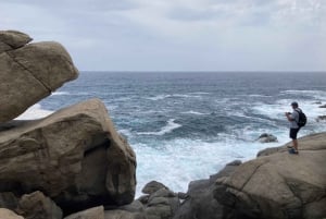 Barcelona: Tossa de Mar kyststi og Costa Brava-båt