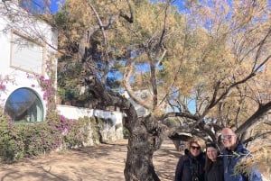 From Barcelona: Tossa de Mar Half-Day Tour