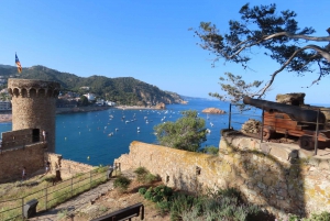 From Barcelona: Tossa de Mar Scuba Diving and 3-Course Meal