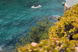 Desde Barcelona: Cata de Vinos y Jardín MARIMURTRA & Blanes