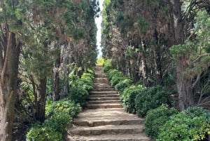 Desde Barcelona: Cata de Vinos y Jardín MARIMURTRA & Blanes