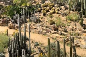 Desde Barcelona: Cata de Vinos y Jardín MARIMURTRA & Blanes