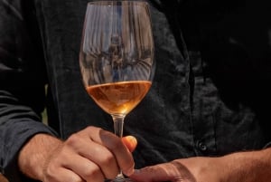 Desde Barcelona: Cata de Vinos y Jardín MARIMURTRA & Blanes