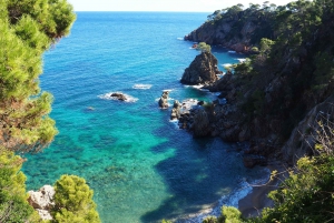 From Girona: Medieval Costa Brava Day Trip