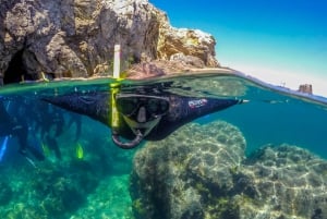 From L’Estartit: 3-Hour Snorkeling Trip to the Medes Islands