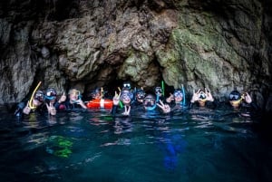 Estartit:Boat trip around Medes Island and Swim in the Coast